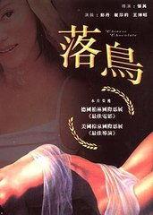 落鸟电影在线观看,在线观看，感受心灵的飞翔之旅