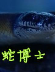 蛇博士在线观看,揭秘神秘生物的奇幻之旅