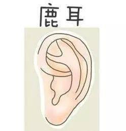 耳朵大有福在线观看,探寻福气之源的视听之旅