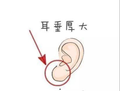 耳朵大有福在线观看,探寻福气之源的视听之旅