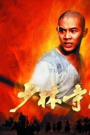 少林小子电影在线观看,传承武术，激荡青春