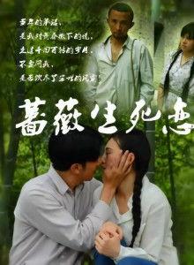 蔷薇生死恋在线观看,穿越时空的绝美爱情故事