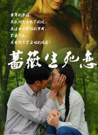蔷薇生死恋在线观看,穿越时空的绝美爱情故事