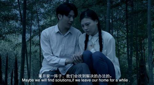 蔷薇生死恋在线观看,穿越时空的绝美爱情故事