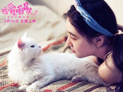 我爱喵星人在线观看,在线观看我爱喵星人的精彩瞬间