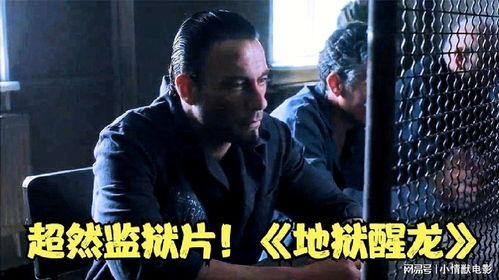 男儿无罪在线观看,热血青春，无畏挑战