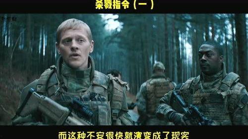 杀戮指令在线观看,在线惊悚之旅，揭秘生死边缘的极限挑战