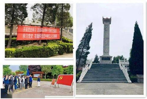 色资源网在线观看,揭秘热门色情资源平台