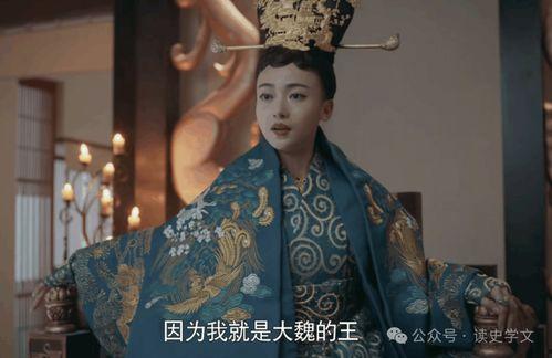 北魏冯太后在线观看,权谋与母爱的交织