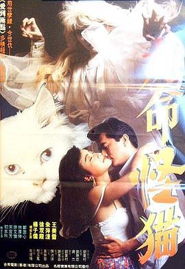九命怪猫在线观看,探寻神秘生物的九次重生传奇