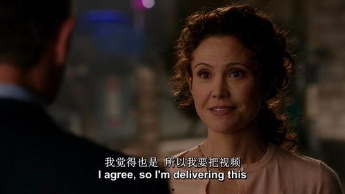 天蝎第三季在线观看,揭秘神秘组织，探寻真相之旅