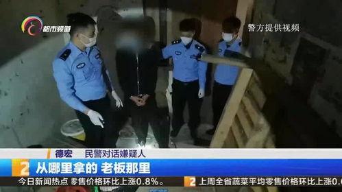 监守自盗在线观看,揭秘内部腐败的惊心动魄真相