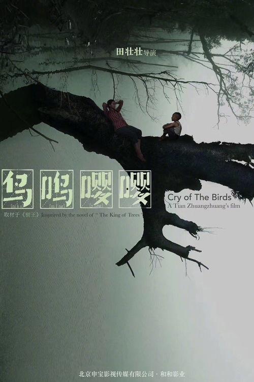 鸟鸣电影在线观看,自然之声中的心灵之旅