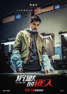 沉默的证人在线观看,在线观看揭秘悬疑真相