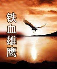 铁血雄鹰在线观看,在线观看，揭秘英勇战士的传奇征程