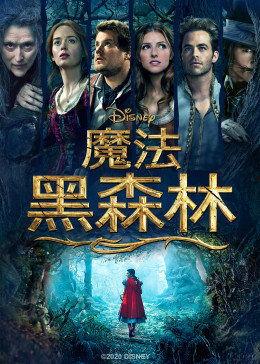 魔法黑森林在线观看,奇幻冒险之旅，在线观看开启神秘之门