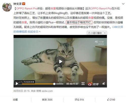 夜猫子视频在线观看,在线观看夜猫子视频的精彩瞬间